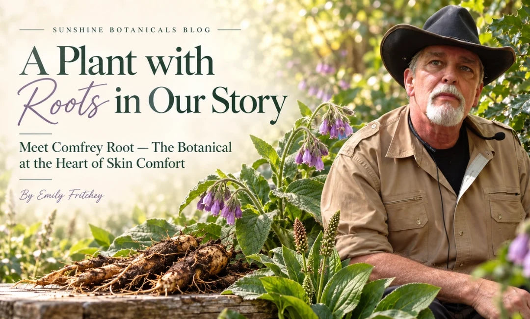 Comfrey Root The Botanical at the Heart of Skin Comfort