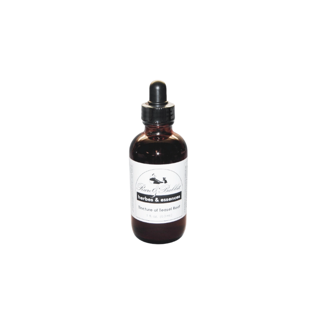 Tincture Teasel Root