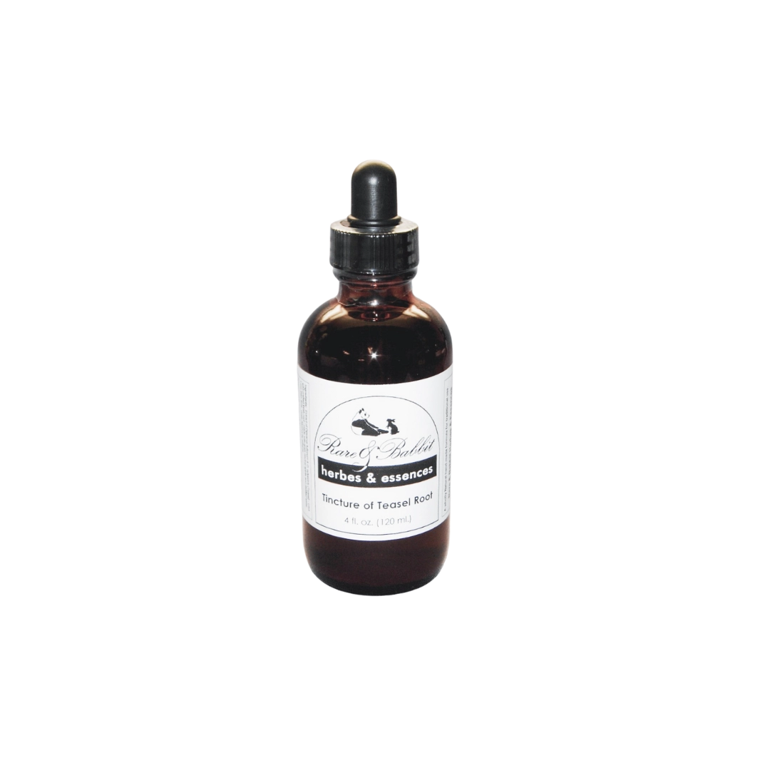 Tincture Teasel Root