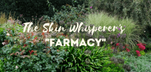 Header skin whisperer farmacy