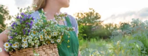 Nature scene showing female picking flowers