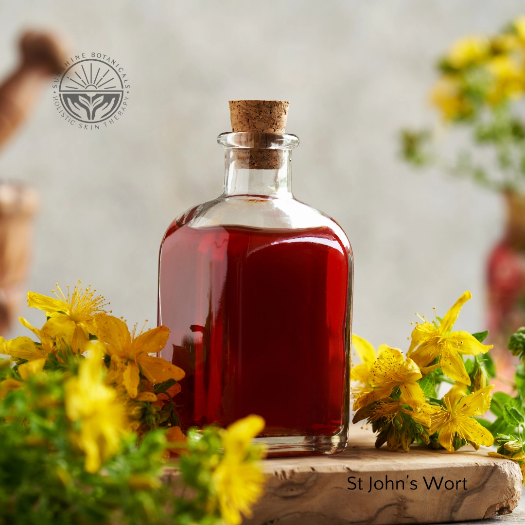 Replenish Vital Oils and Lipids | St John's Wort | Sunshine Botanicals